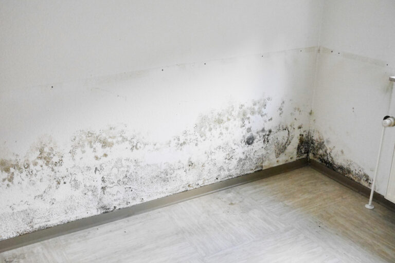 Schimmel und Feuchtigkeit an der Wand